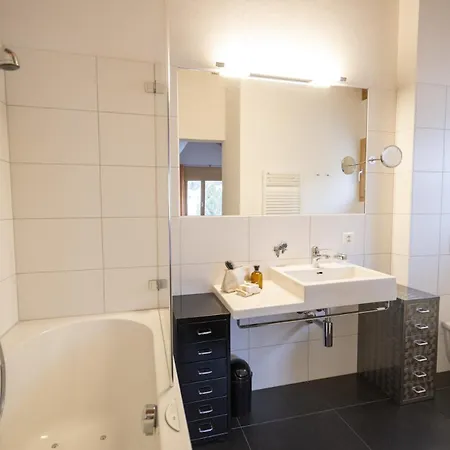 Apartment Chasa Capricornin *